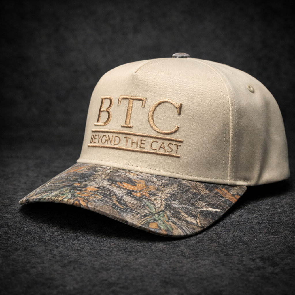 0226 Baseline Snapback