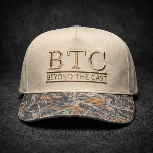 0226 Baseline Snapback